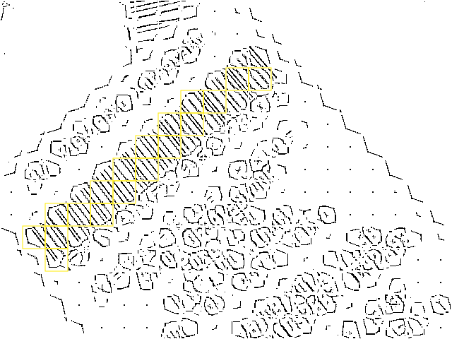 Remaining patch labels